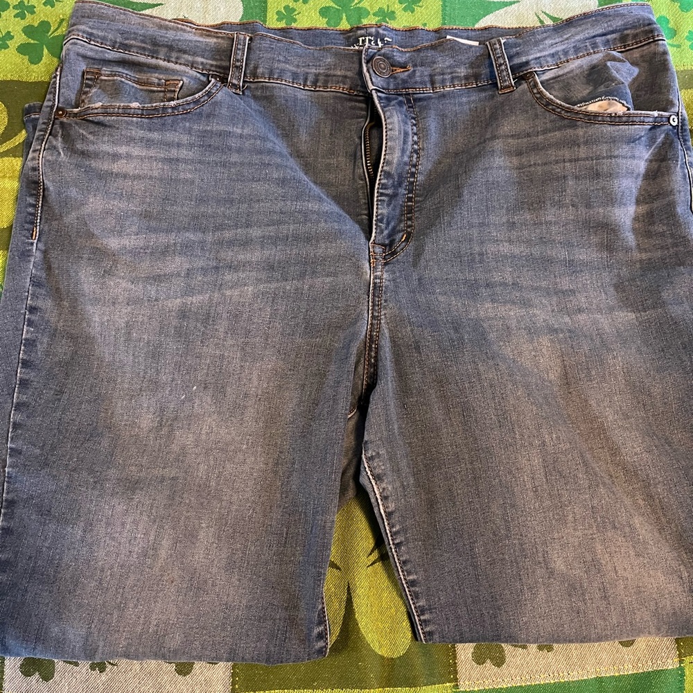Terra and Sky size 18p skinny jeans